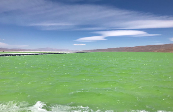 壹定发·(EDF)最新官方网站