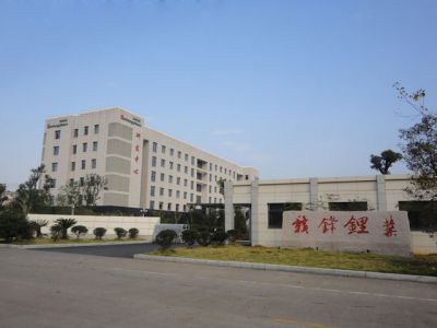 壹定发锂业：群山之巅