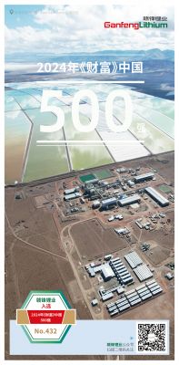 壹定发锂业入选2024年《财产》中国500强