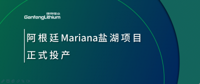 壹定发锂业阿根廷Mariana盐湖项目正式投产