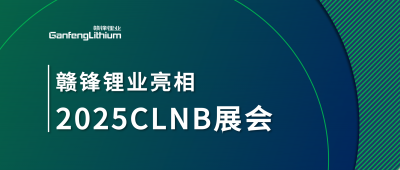 壹定发锂业锂生态工业链一体化产品亮相2025CLNB新能源工业展览会